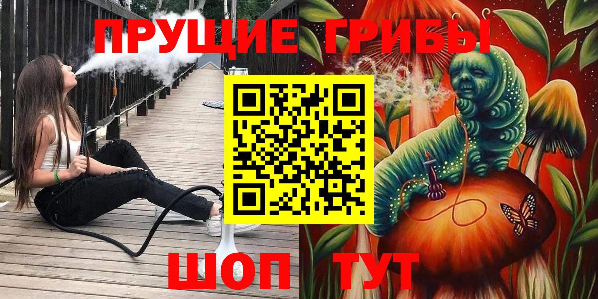 Галлюциногенные грибы Cubensis  Псилоцибиновые грибы мицелий  Коммунар  Вход с VPN 