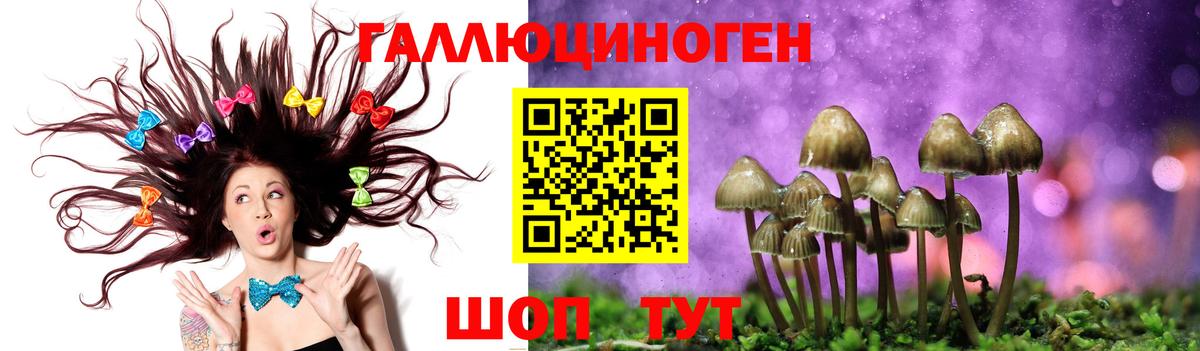 Галлюциногенные грибы GOLDEN TEACHER Коммунар